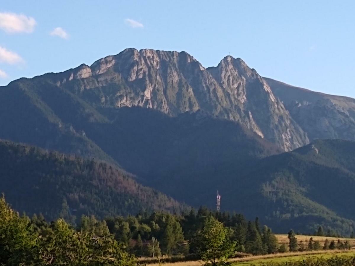 Loft Folk Apartament Zakopane Dış mekan fotoğraf