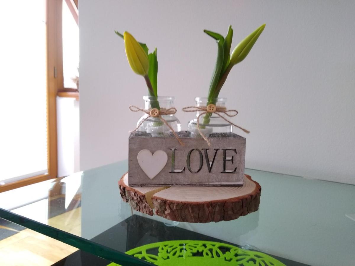 Loft Folk Apartament Zakopane Dış mekan fotoğraf